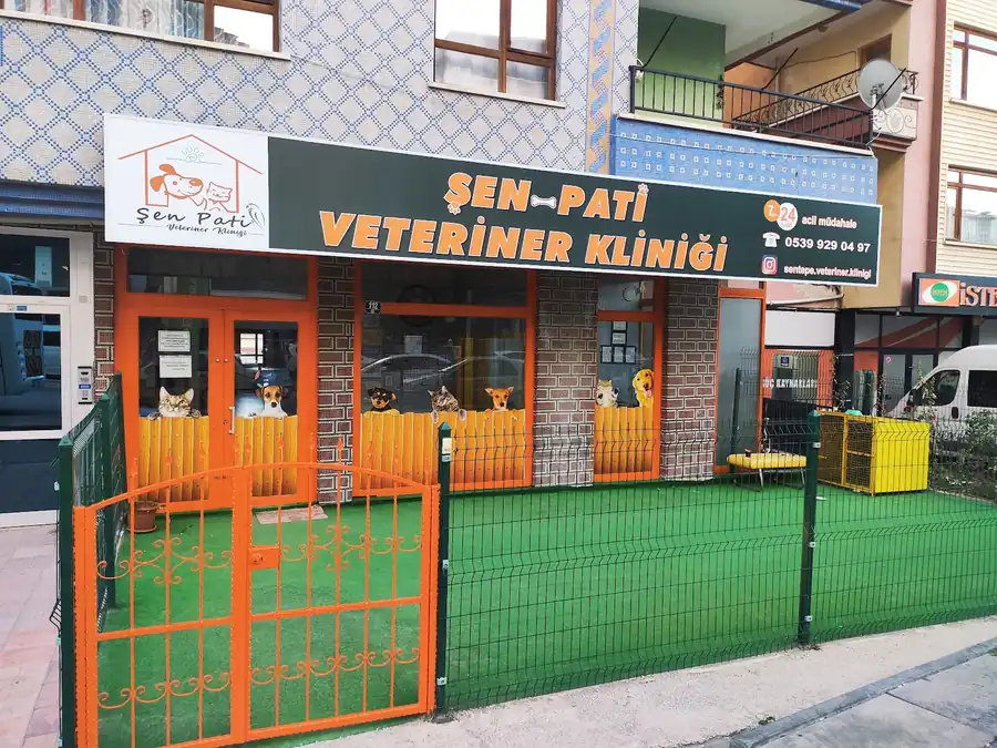 Şen-Pati Veteriner Kliniği'nin sarı tabelalı cephesi ve çim bahçesi